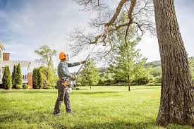 Best Emergency Tree Removal  in Milton, PA